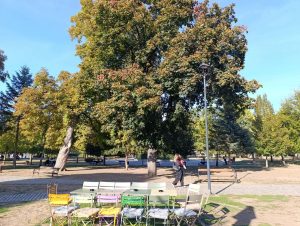 Sunce jesen park