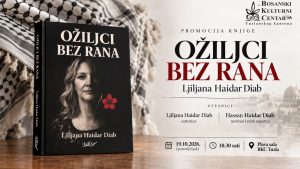 oziljci-bez-rana_plakat