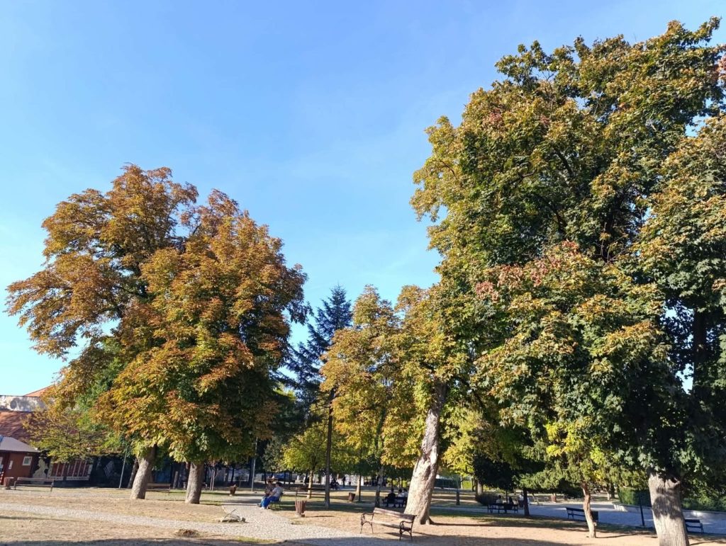 sunce jesen gradski park