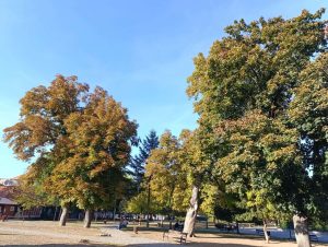 sunce jesen gradski park